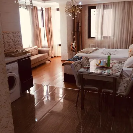 شقة فندقية Ayasofya Deluxs Apart اسطنبول